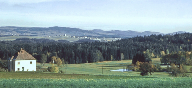 vszulissen3-2.jpg